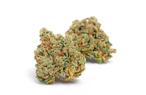 AVENTUS8 THC-A FLOWER Black Jack 10g