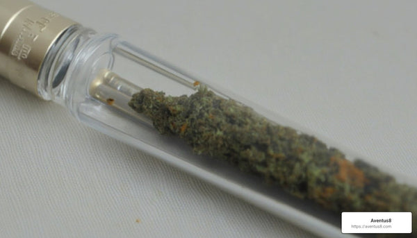 Disposable Weed Pens: A Quick Guide to One-Time Use Vapes