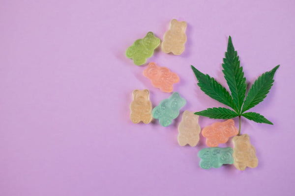 THC Edibles Explained: What You Should Know