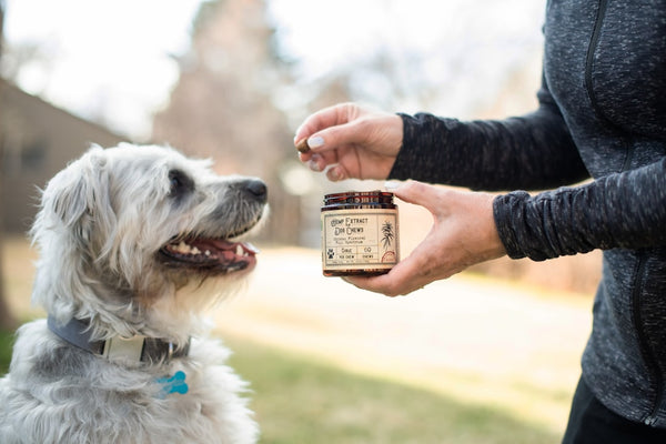 Anxiety Antidote: Top CBD Picks for a Peaceful Mind