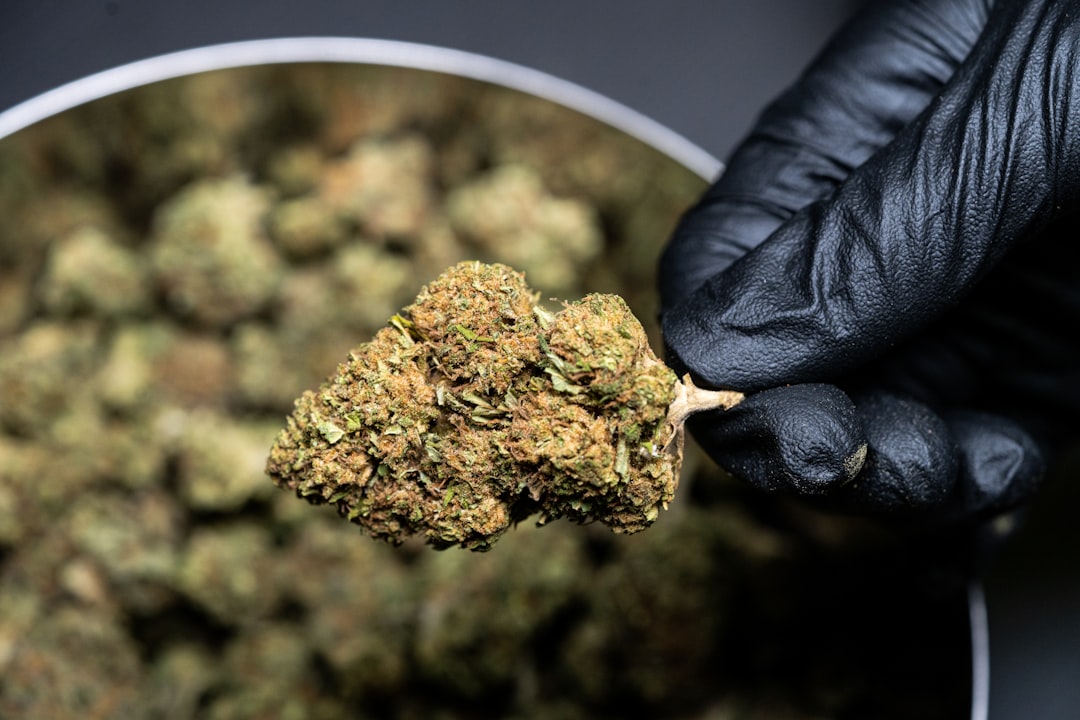 Best Legal THC Flower Online: Premium Buds Delivered