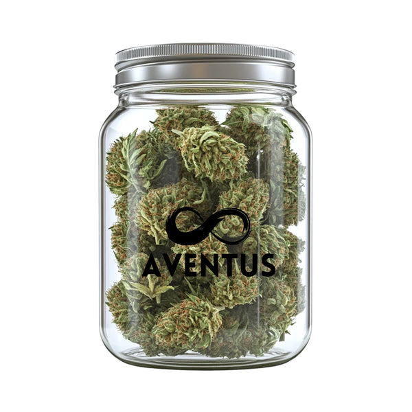 AVENTUS8 THC-A FLOWER BISCOTTI 28G