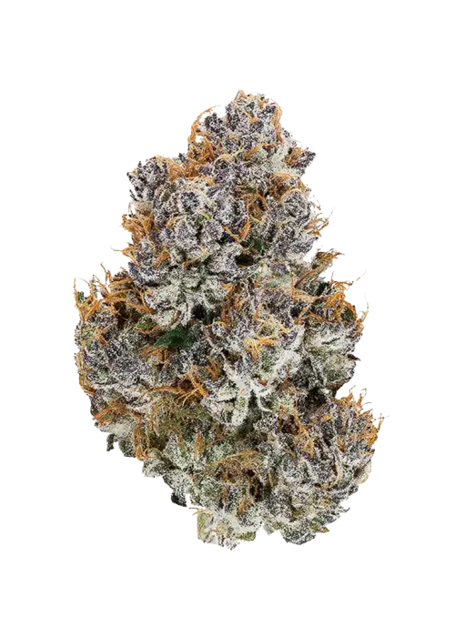 Funfetti Rainbow Swirl THCA Flower – 3.5g Premium Indoor