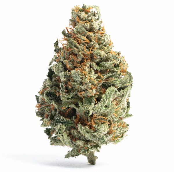 Fuego Cosmic Cookies THC-A Flower - 4g (ULTRA PRIVATE RESERVE)