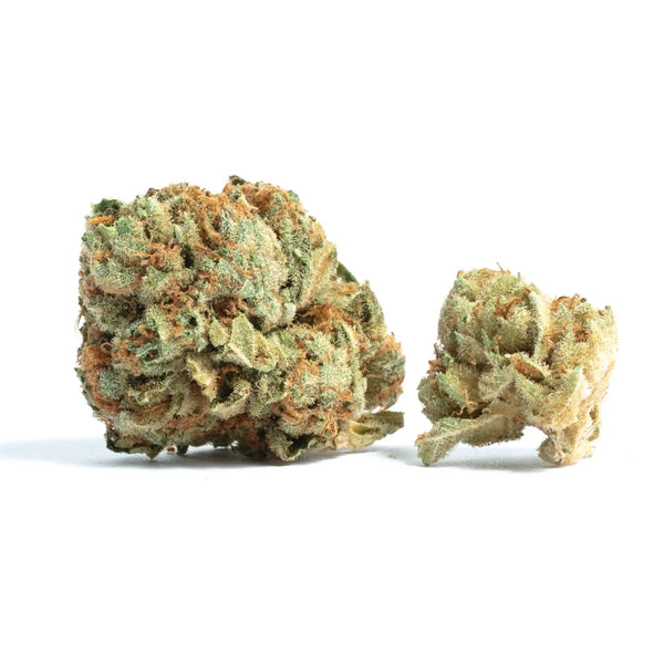 AVENTUS8 THC-A Flower Sugar Drop Kush 10g